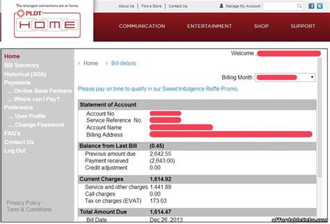 Where can I view my PLDT billing summary .